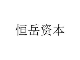 山东恒岳金融软件服务外包